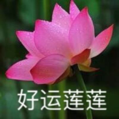 可爱鲸碰碰碰游戏下载