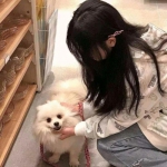 丹霞镇物语游戏